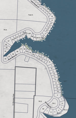 Lake Winnebago Classic Gray Map