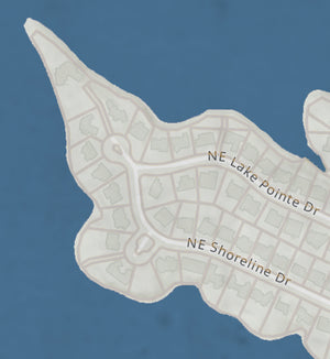 Lakewood Missouri Classic Gray Vintage Style Canvas Map